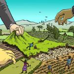 Risk Prevention When Buying Land Without a Certificate of Ownership in Phu Quoc